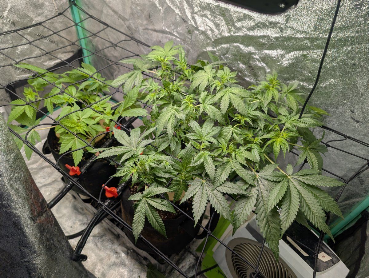 PXL 20260323 141858709