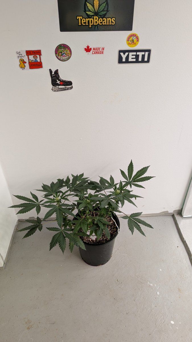PXL 20260324 112250293MP