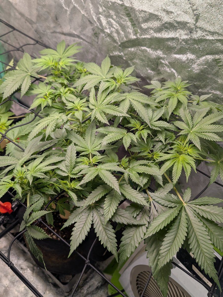 PXL 20260324 124038121