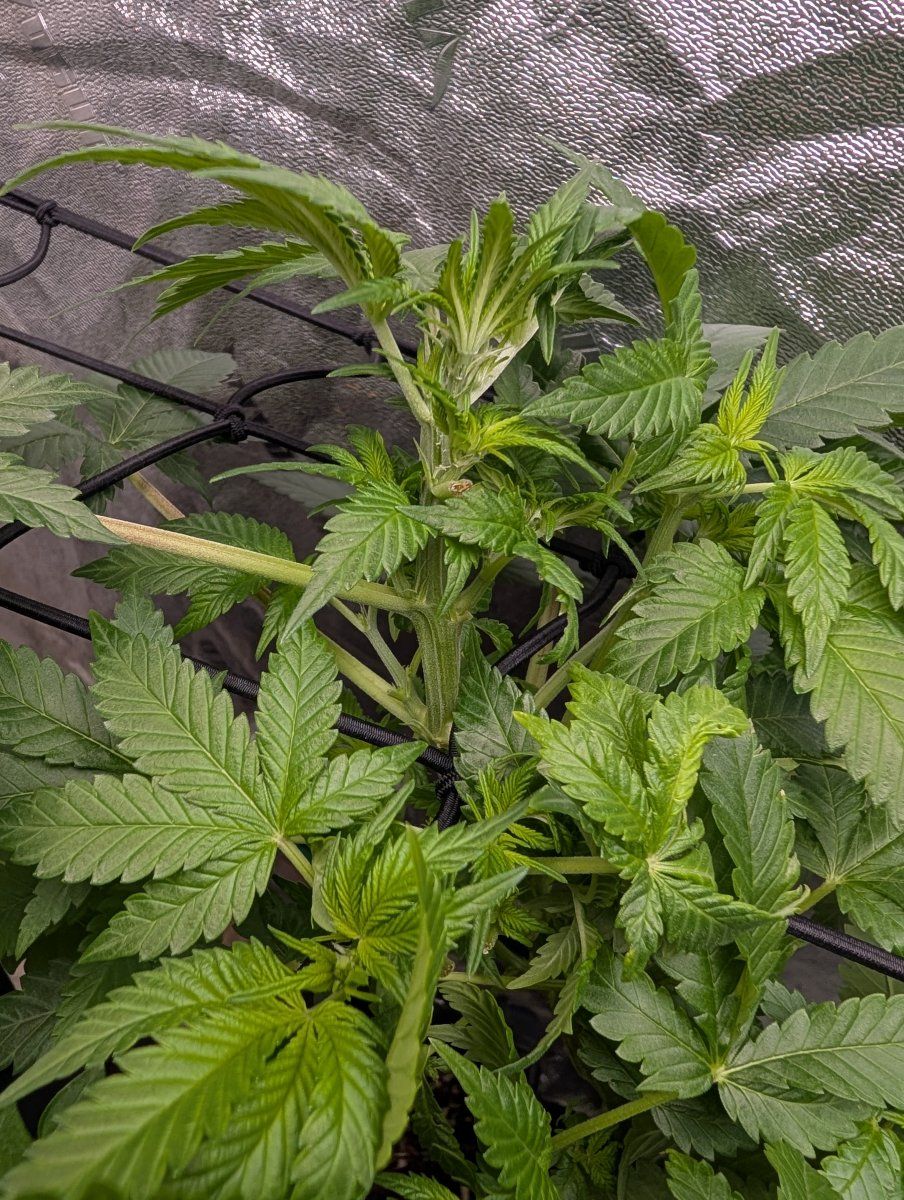 PXL 20260324 124606559