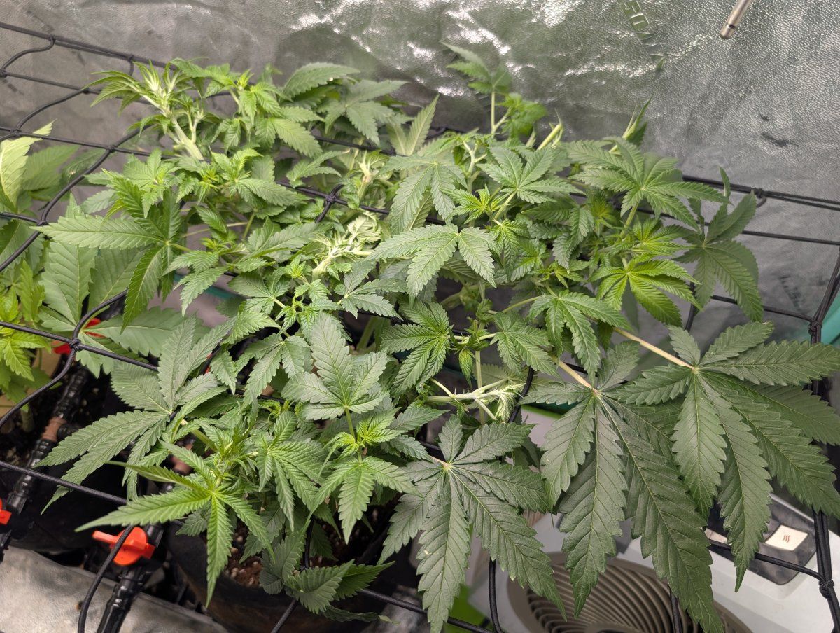 PXL 20260324 124923390