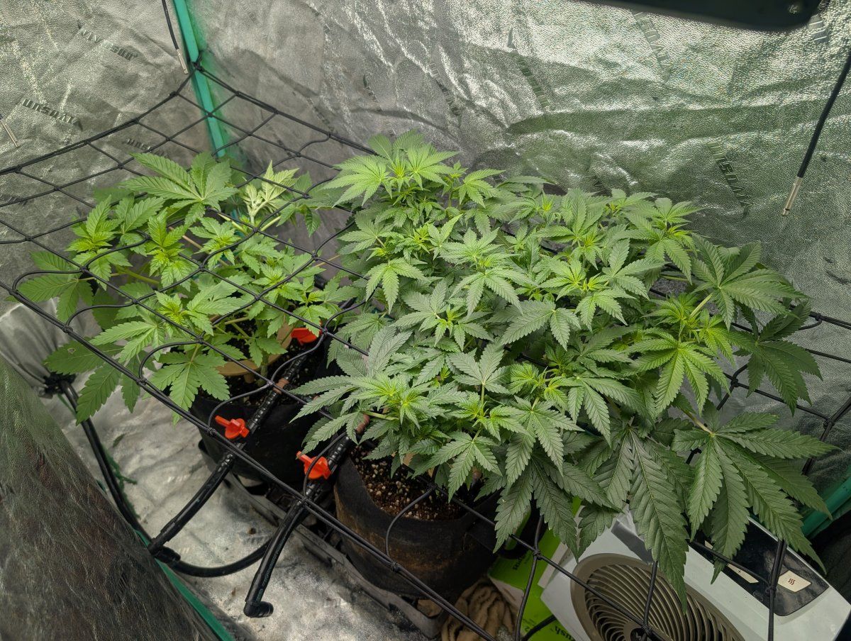PXL 20260326 110302061