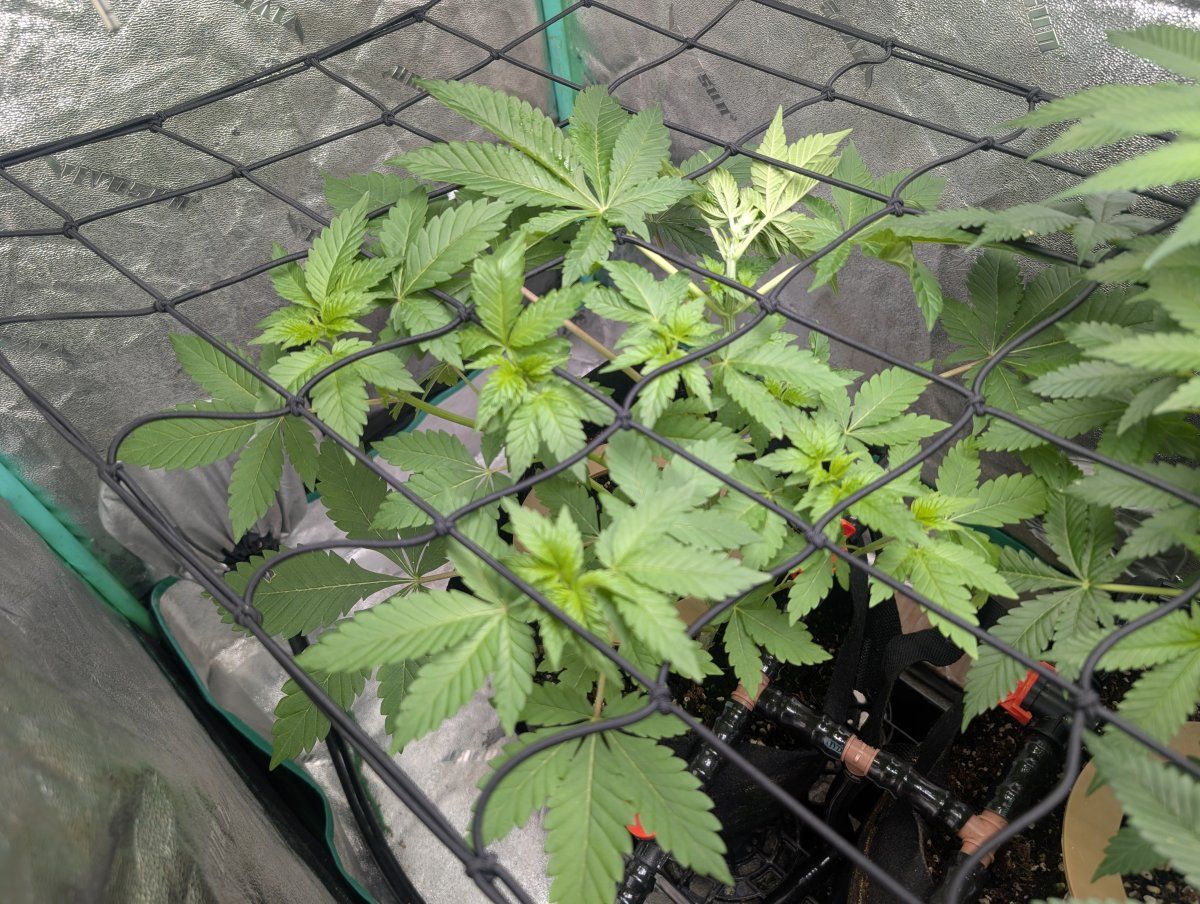 PXL 20260326 110305787