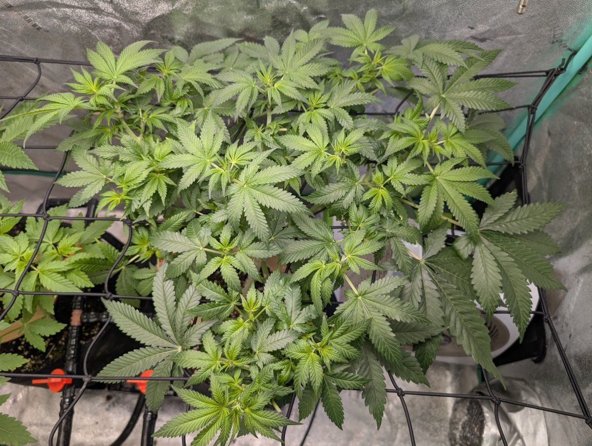 PXL 20260327 125936722