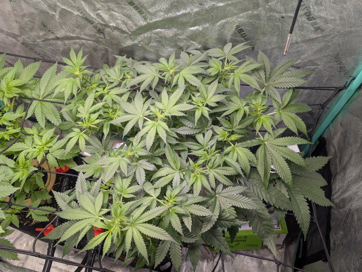 PXL 20260330 114513737