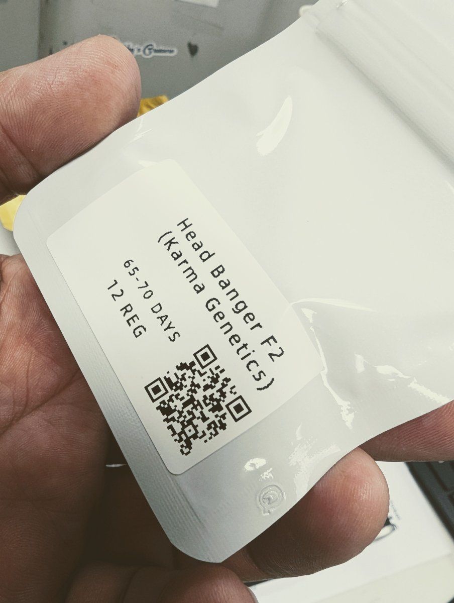 PXL 20260330 193438269