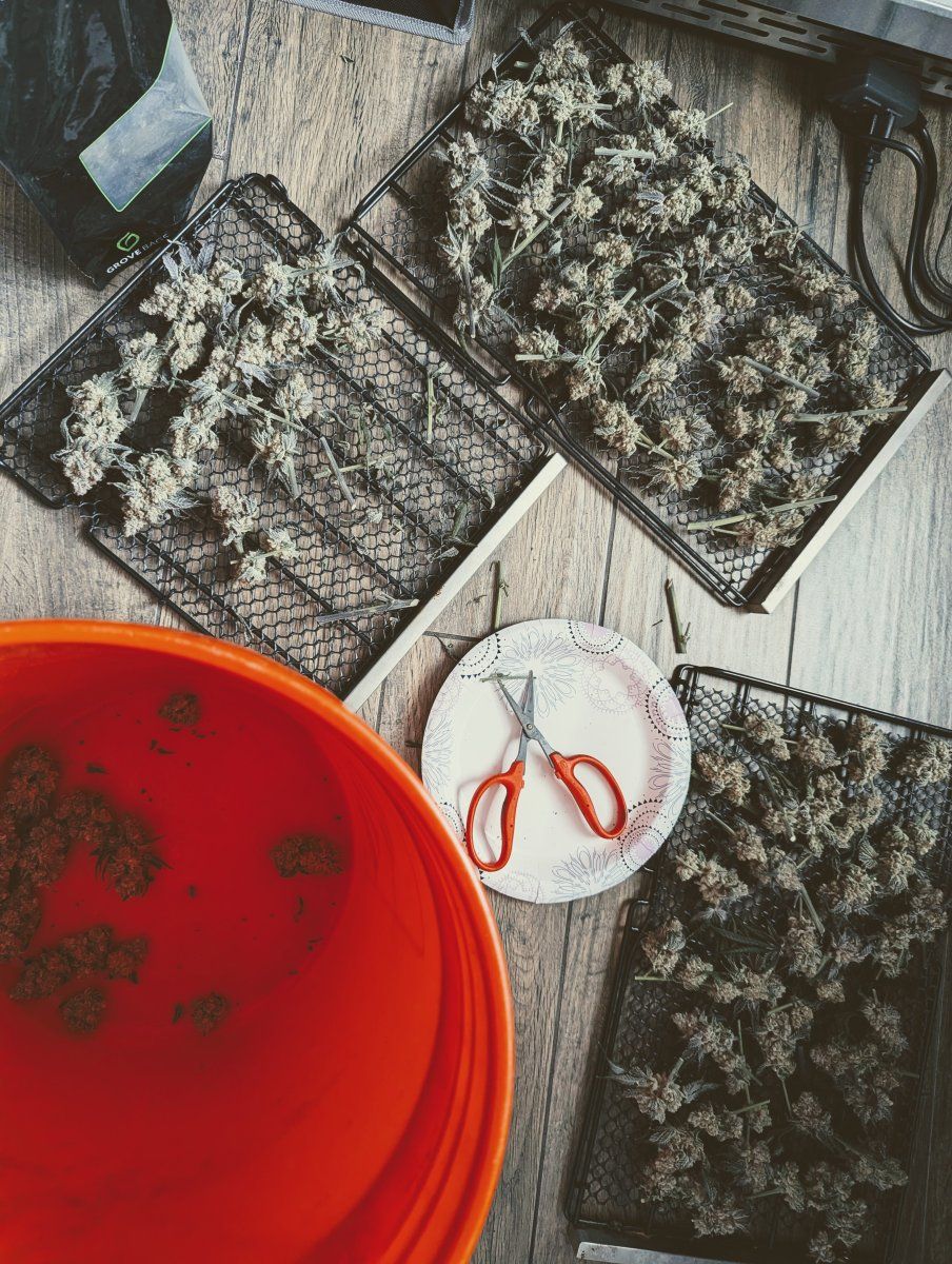 PXL 20260331 164233343