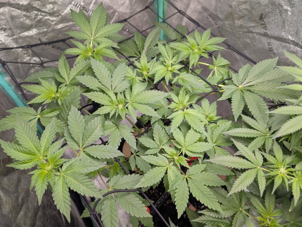 PXL 20260402 122929163
