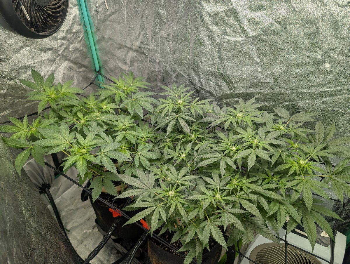 PXL 20260405 113615259