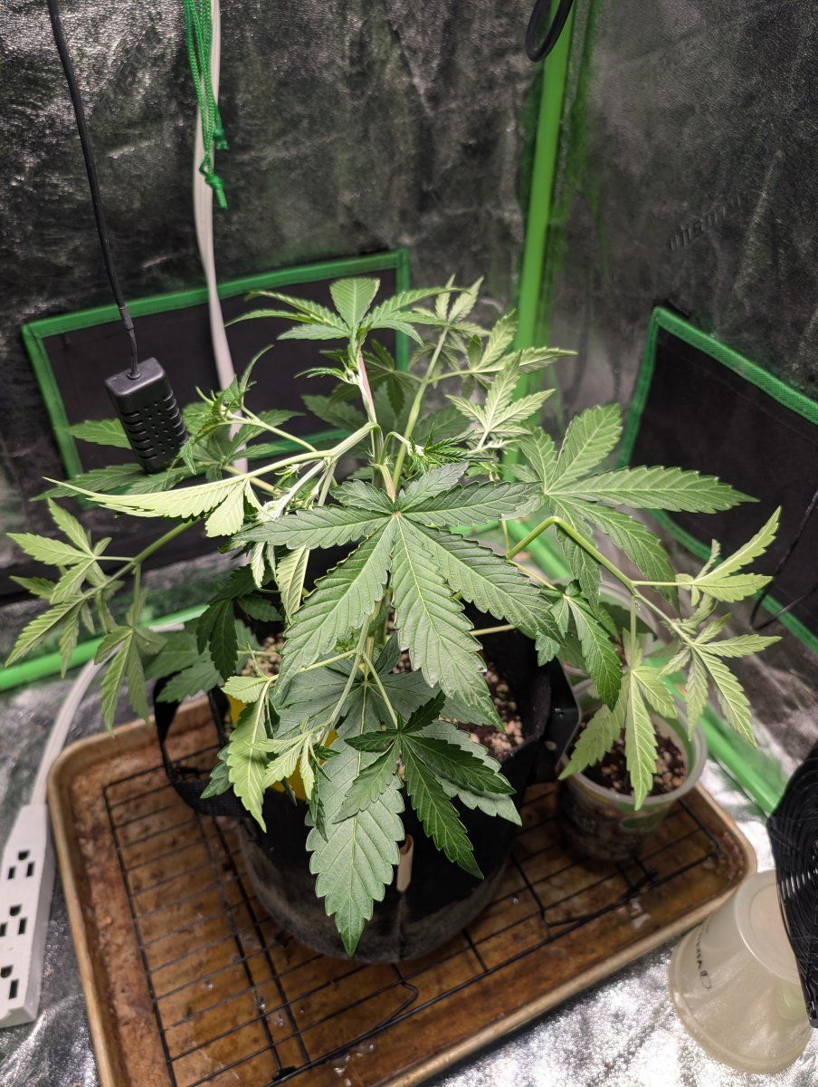 PXL 20260405 164612056