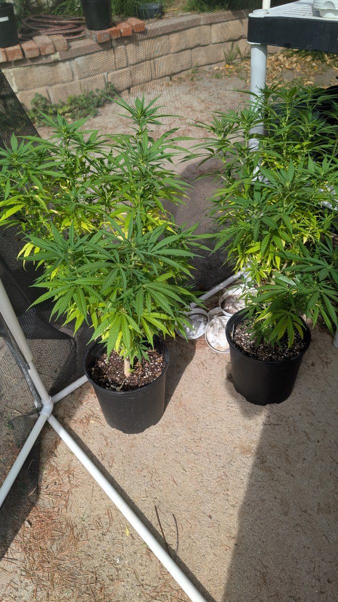 PXL 20260405 224649076