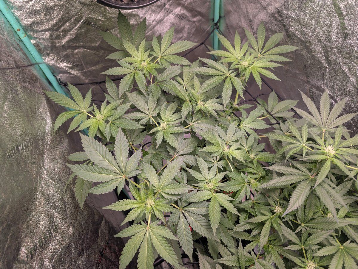 PXL 20260407 121315292