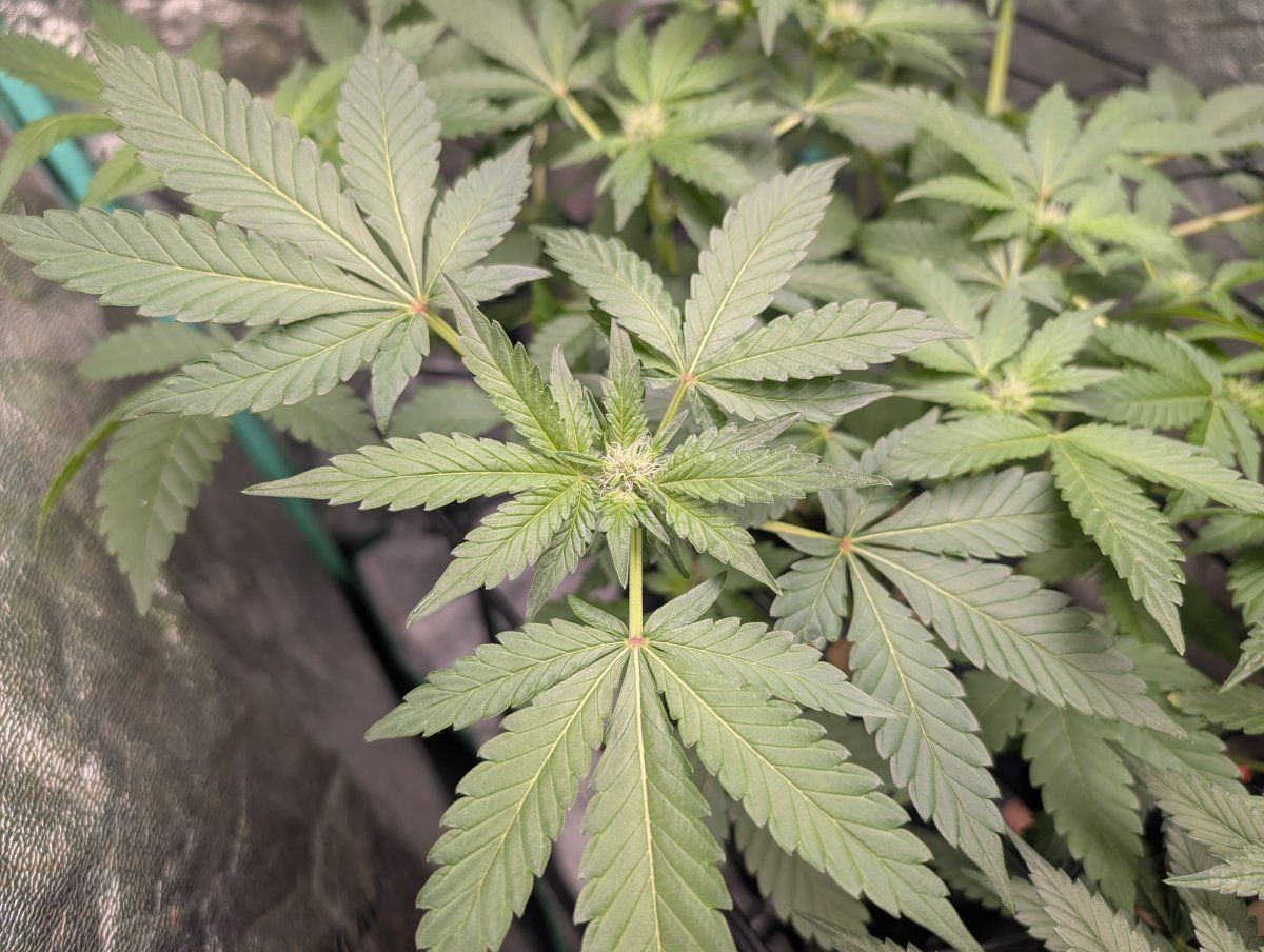 PXL 20260407 121323093