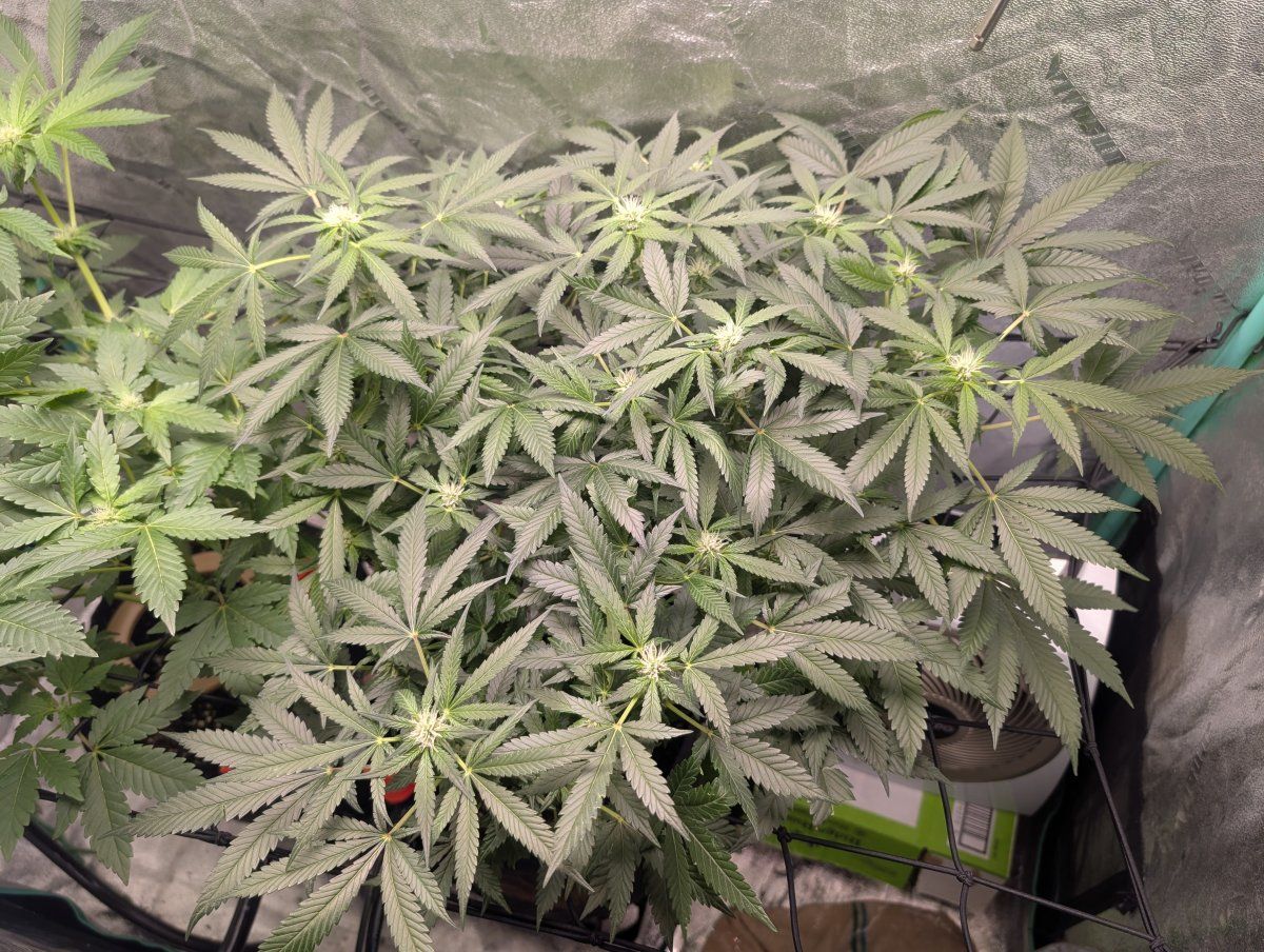 PXL 20260409 122455386