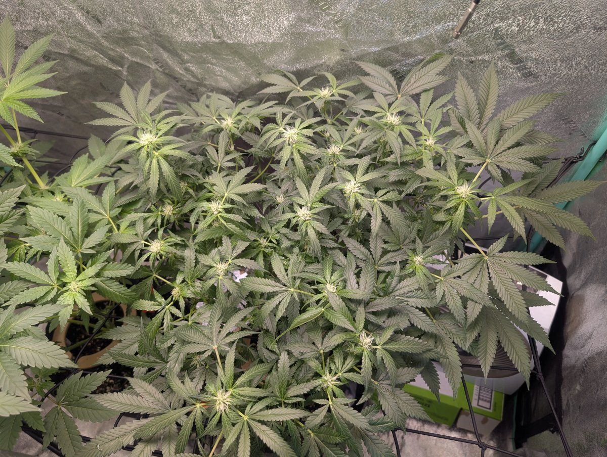 PXL 20260409 124105585