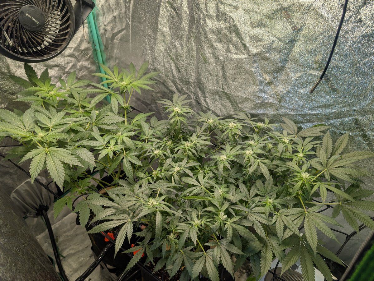 PXL 20260409 124312715