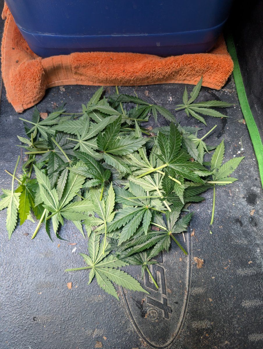 PXL 20260409 124816274