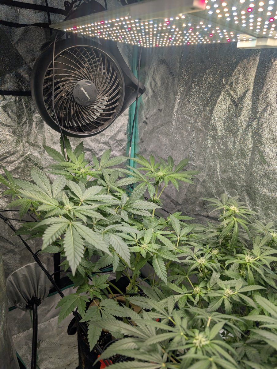 PXL 20260409 140655658MP