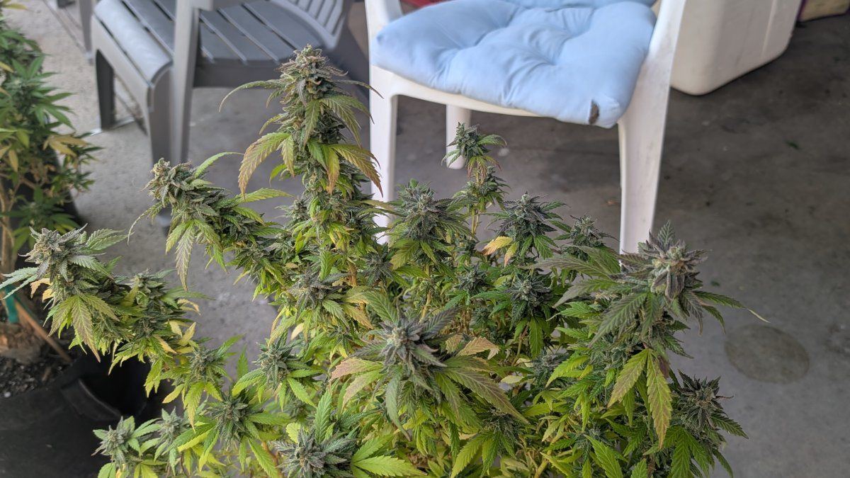 PXL 20260409 183804673