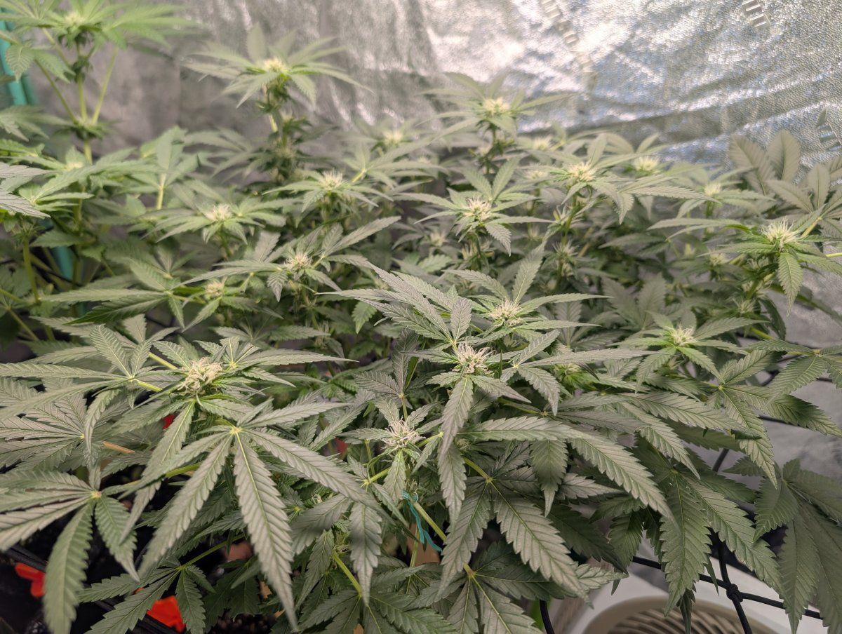 PXL 20260411 120148736