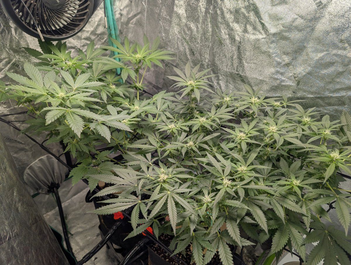 PXL 20260411 120153624MP
