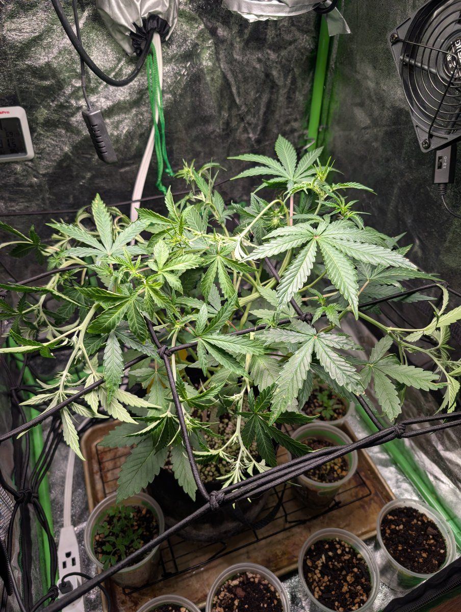 PXL 20260412 200249279