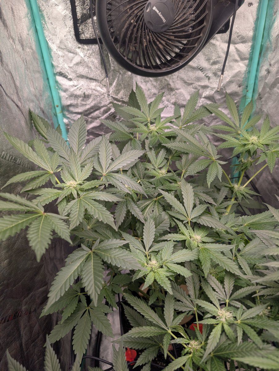 PXL 20260413 120008355MP
