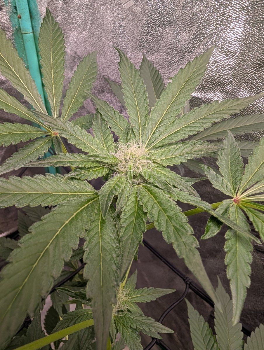 PXL 20260413 120040753