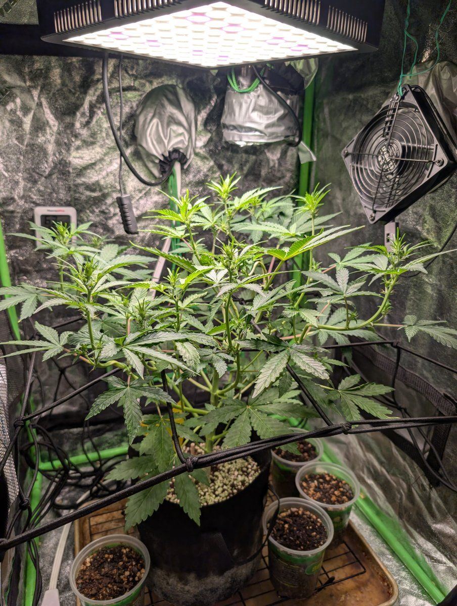 PXL 20260414 130857274