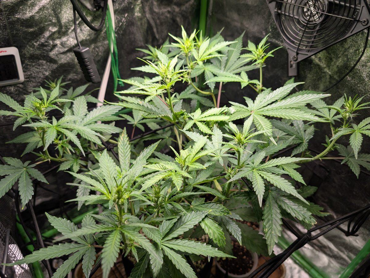 PXL 20260414 130908411