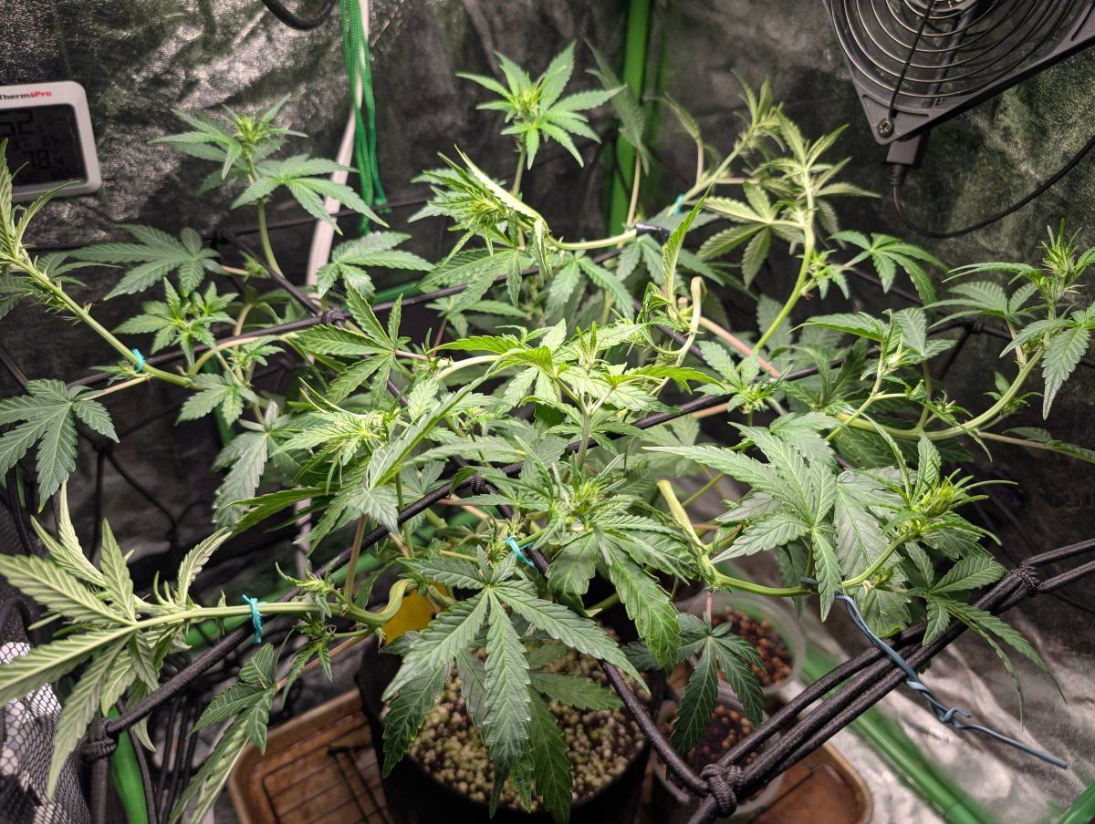 PXL 20260414 135716339