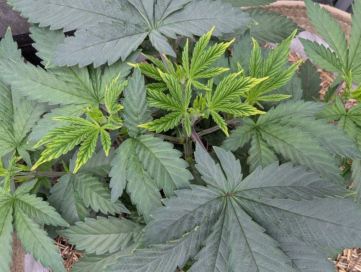 PXL 20260415 200953836