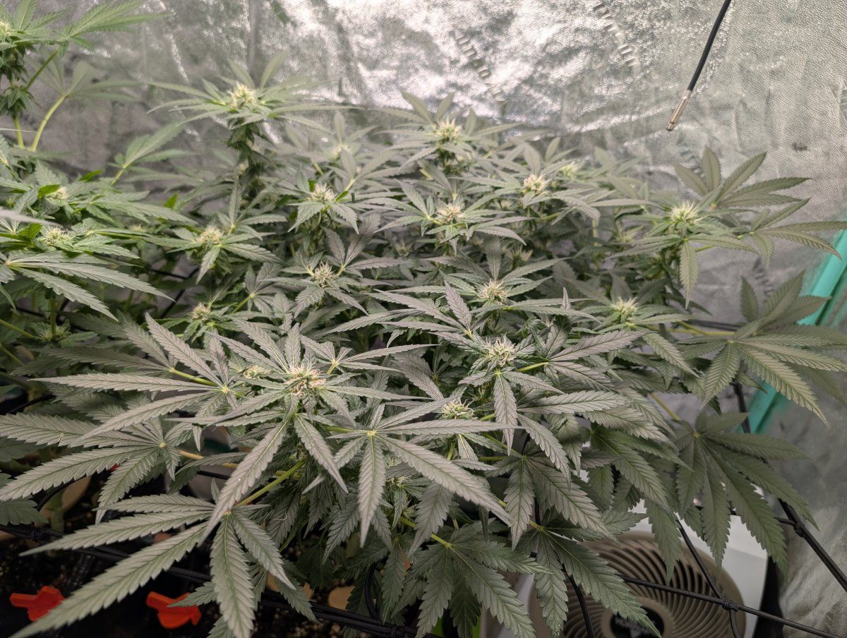 PXL 20260416 104502703