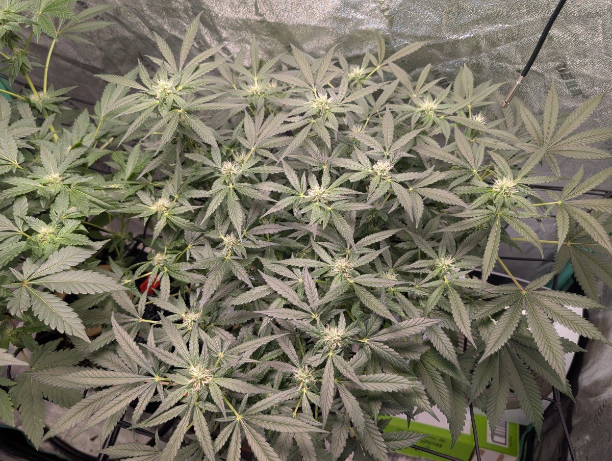 PXL 20260416 104725152