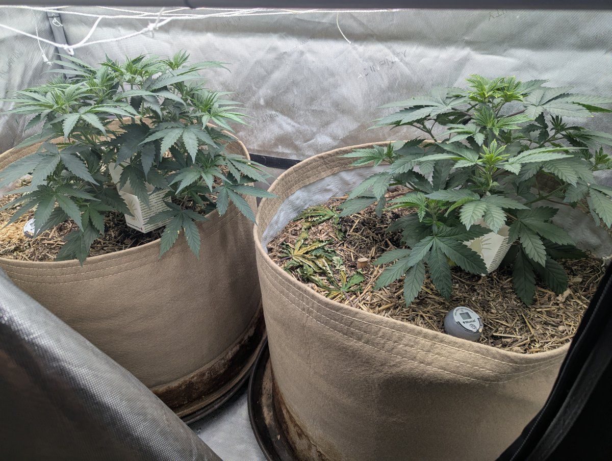 PXL 20260417 022229869