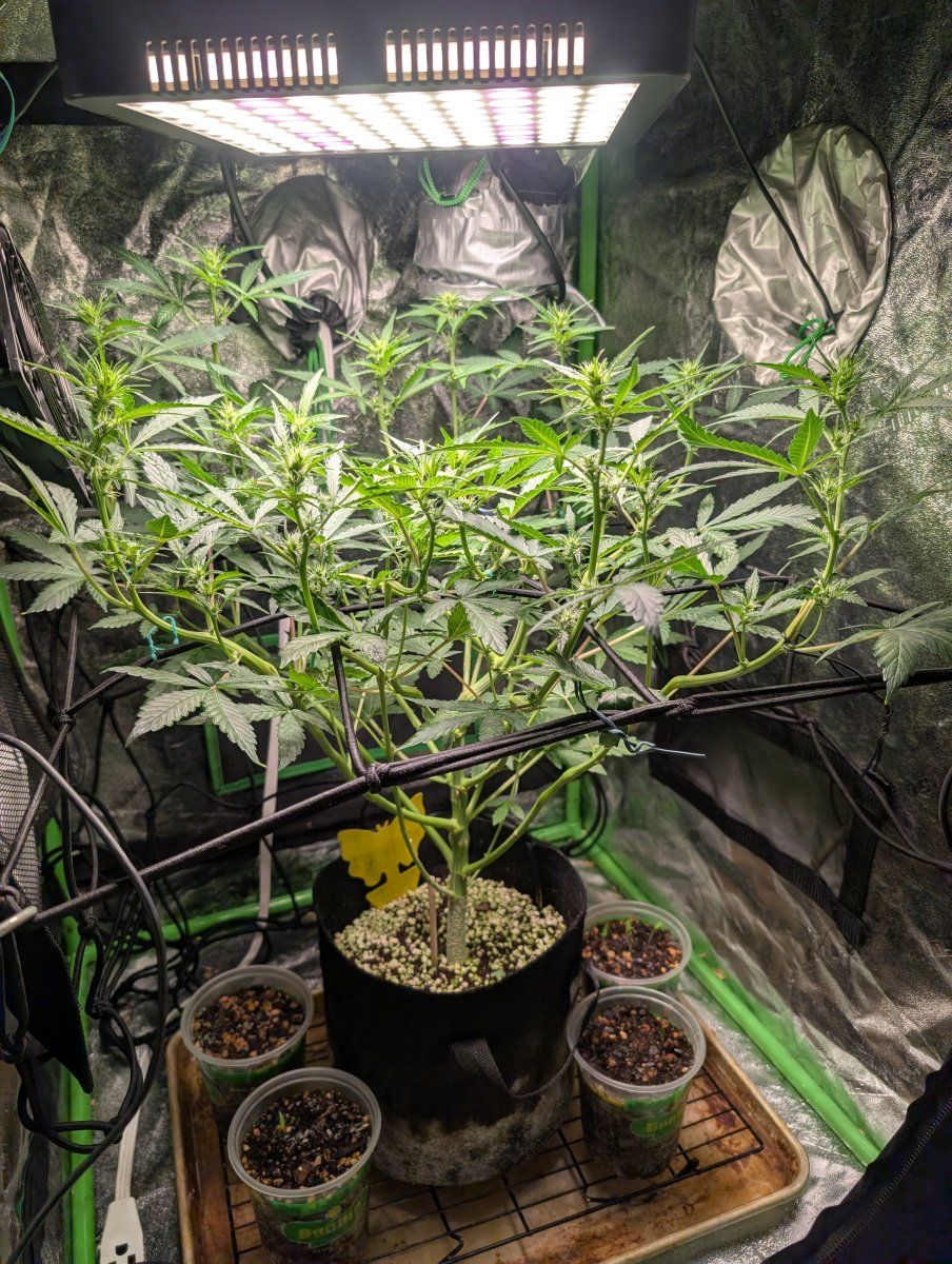 PXL 20260417 165405423