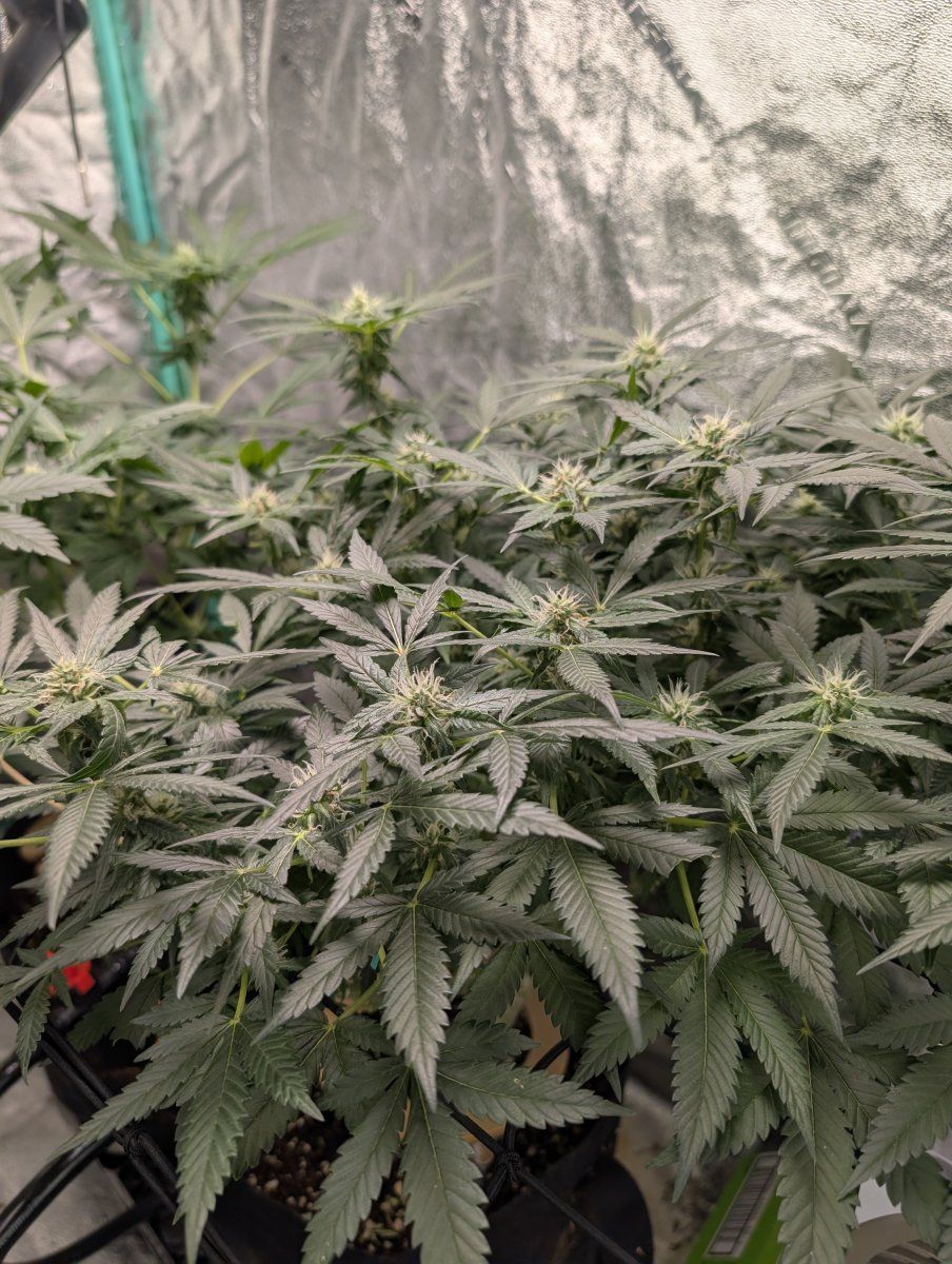 PXL 20260418 125023979