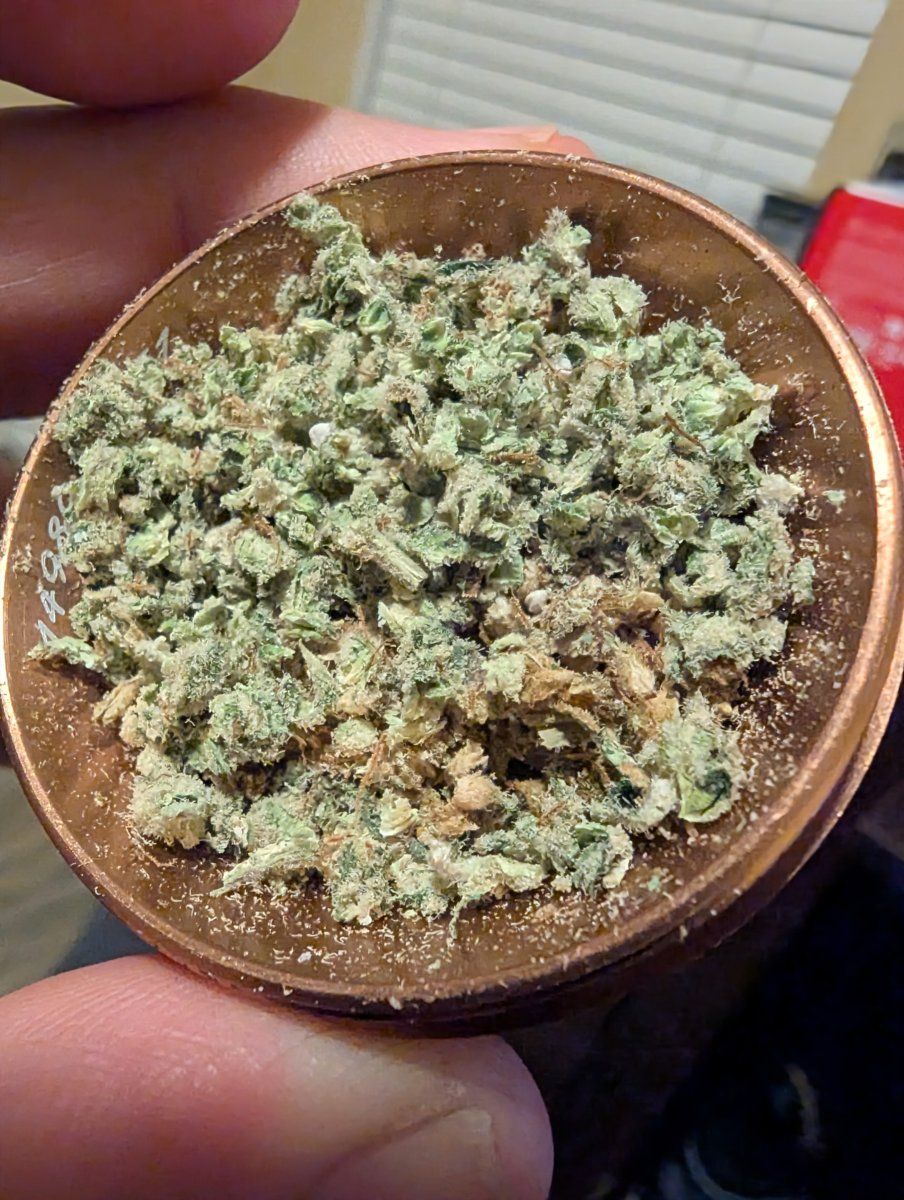PXL 20260420 0359594772
