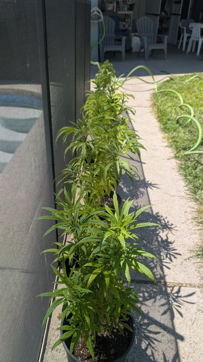 PXL 20260420 185104355