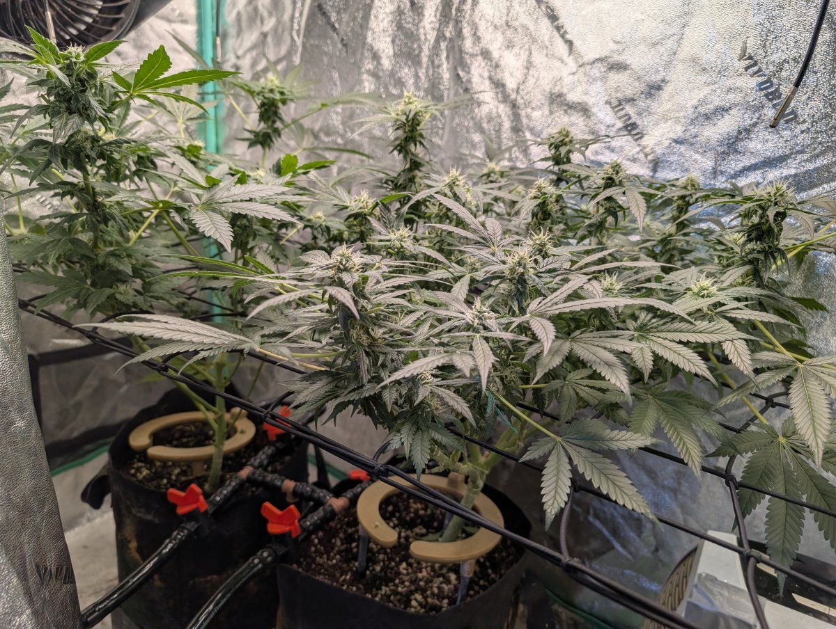 PXL 20260421 123215790