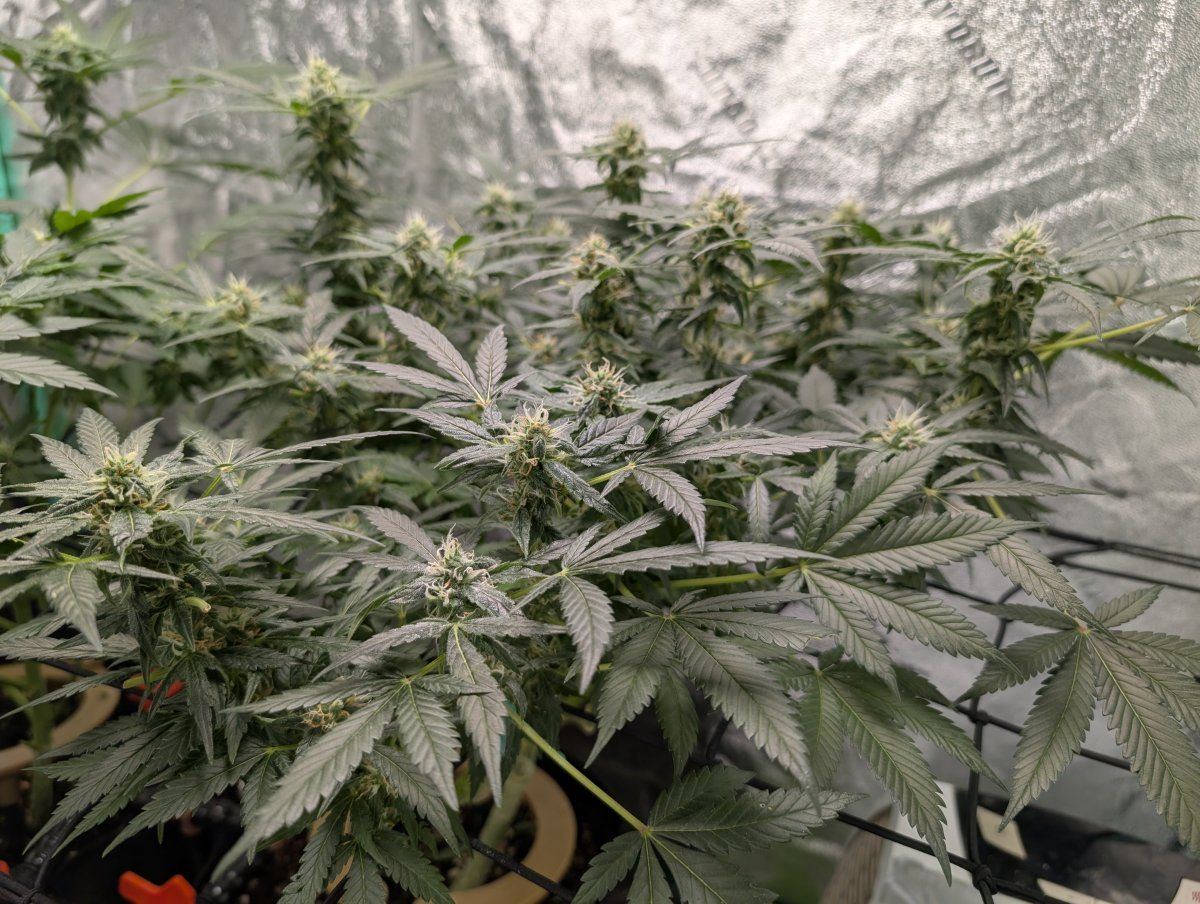 PXL 20260423 120457491