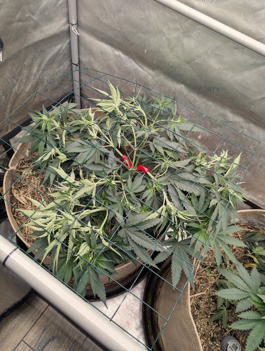 PXL 20260425 012754265