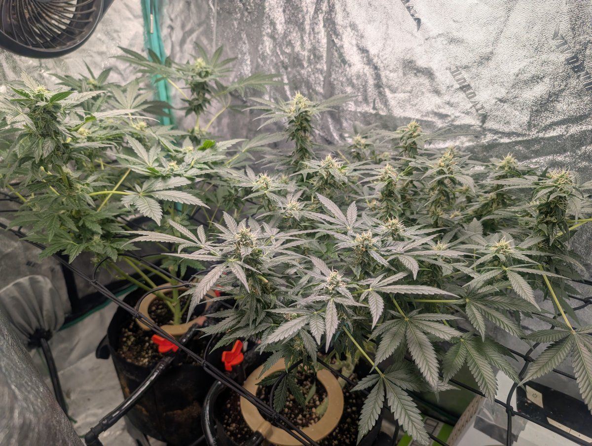 PXL 20260425 121022366MP