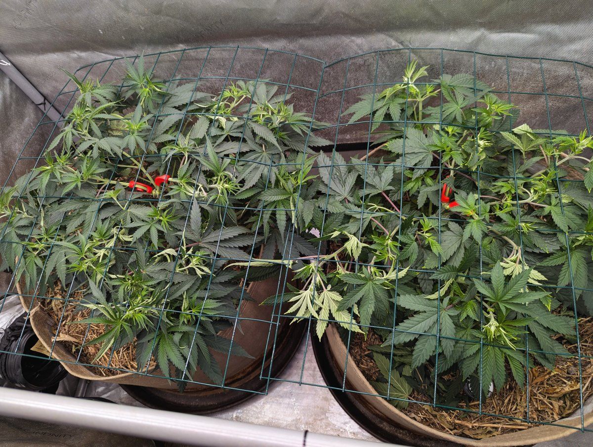 PXL 20260425 165731434