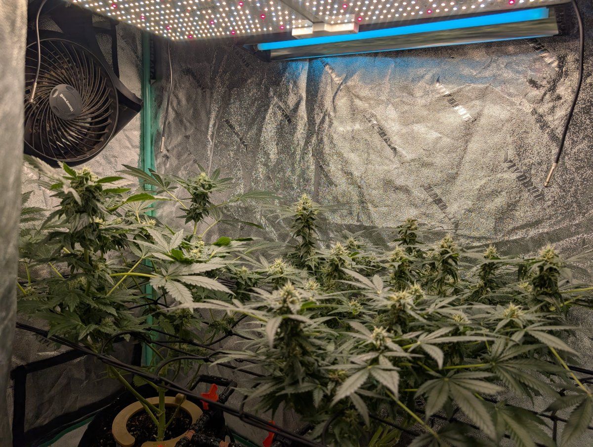 PXL 20260427 180045243