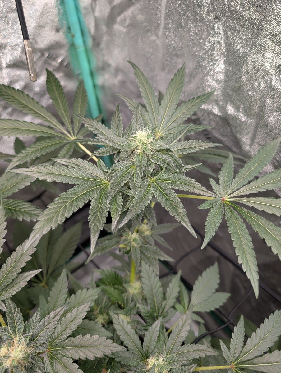 PXL 20260427 180101950