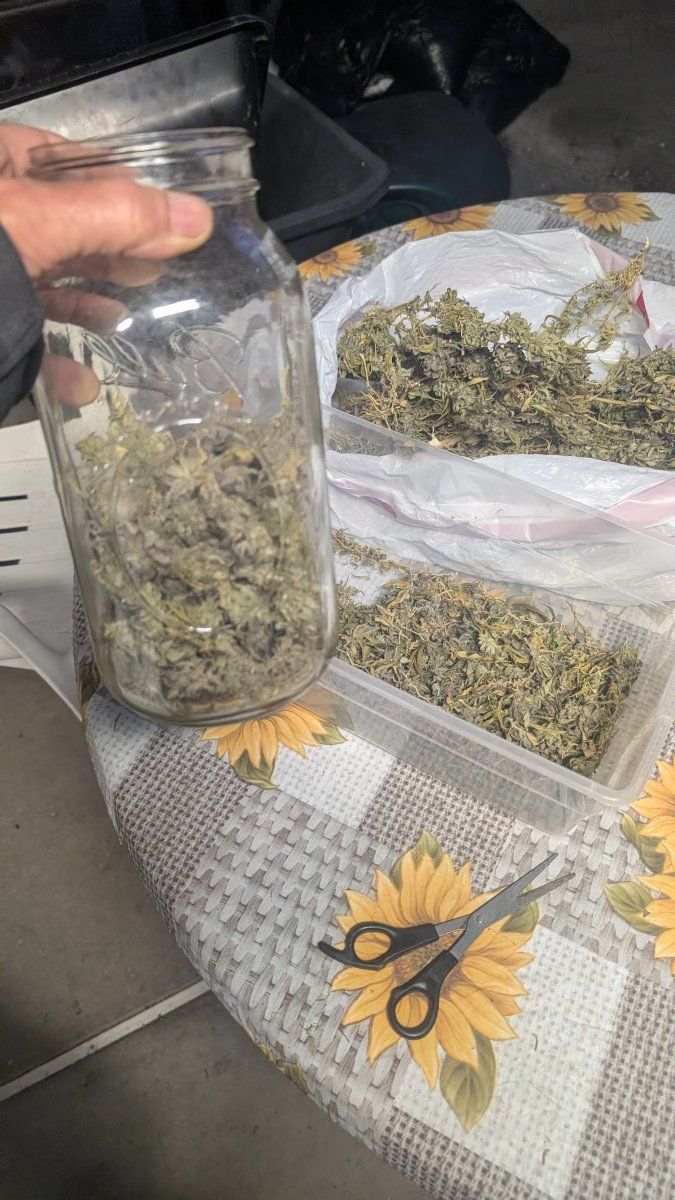 PXL 20260430 025847904