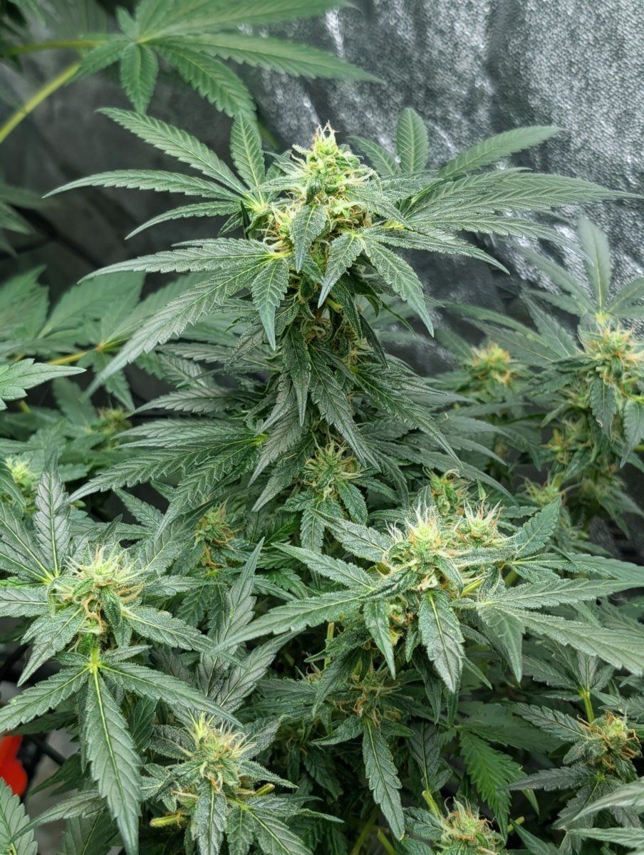 PXL 20260430 1136146132