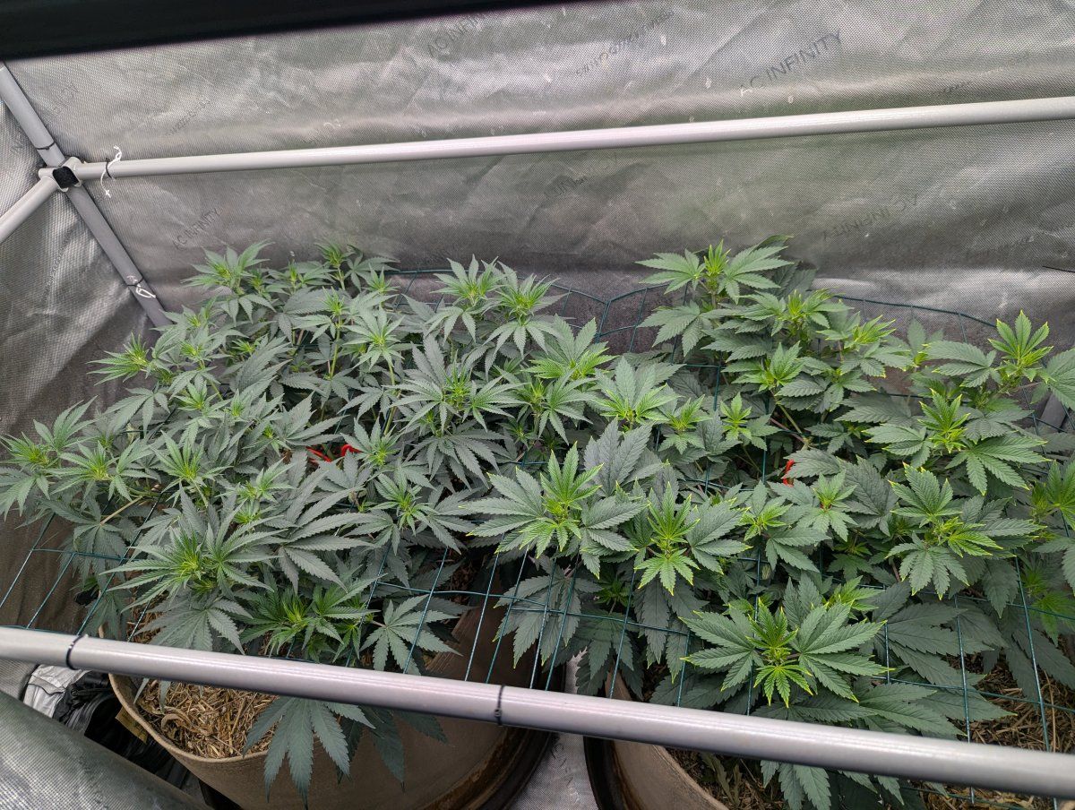 PXL 20260501 192027101