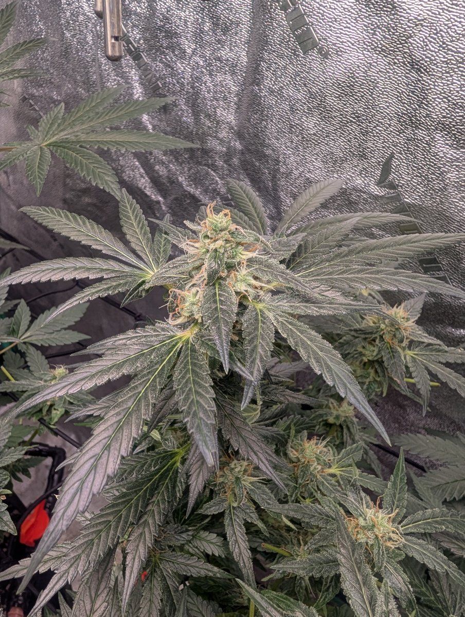 PXL 20260503 164756930